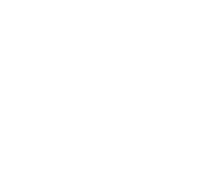 City Laser MX